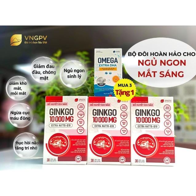 [TẶNG VITAMIN 3B] Bổ huyết ích não GINKGO 10000 MG - giảm đau đầu, mất ngủ, giúp ngủ ngon, tăng cường tuần hoàn máu não