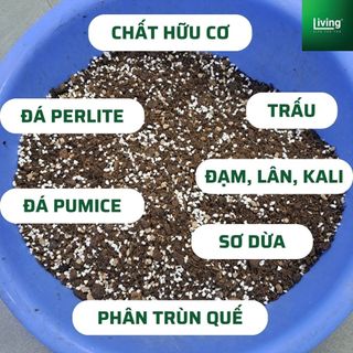 Đất trồng cây trộn sẵn,đất tơi xốp giàu dinh dưỡng trồng cây văn phòng,hoa,rau túi 500g|Living Decor