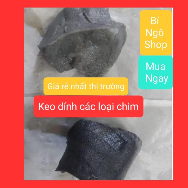Keo Dính Chim, Keo Chim Sẻ, Cu Gáy, Chào Mào, Hoành Hoach, Chim Hút Mật