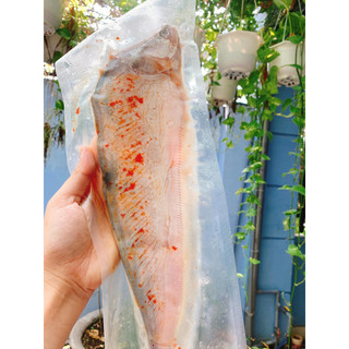 Cá thác lác rút xương (1kg - 3con) [Hỏa tốc HCM]
