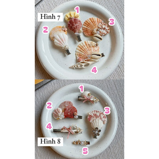 𝐒𝐞𝐚𝐬𝐡𝐞𝐥𝐥𝐬 𝐇𝐚𝐢𝐫 𝐂𝐥𝐢𝐩 𓇼🐚 | Kẹp vỏ sò Handmade