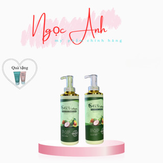 Dầu Gội BƠ DỪA G63 COLLAGEN Chiết Xuất Bơ Giúp Chống Lão Hóa Da Đầu, Mượt Tóc Và Sạch Gàu Kích Mọc Tóc Chính
