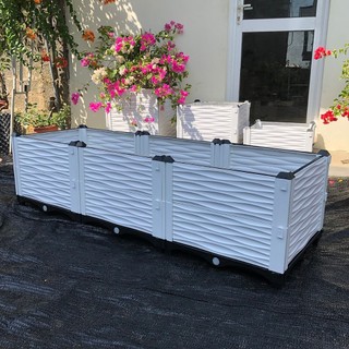 Chậu ghép thông minh HDPE/PP 150x50x39cm: Thẩm mỹ, kết cấu chắc, dễ lắp đặt, phù hợp mọi cây trồng.