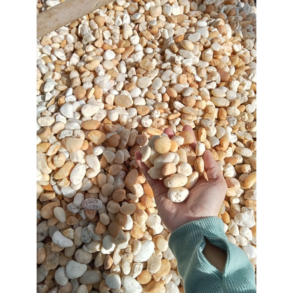 Sỏi vàng trang trí -  1 túi 12kg