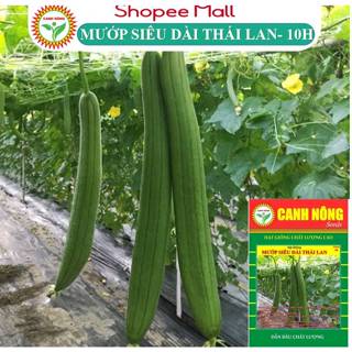 Hạt giống Mướp Hương Thái Trái Dài (1g~10 Hạt) Thơm, Ngọt, Trồng Quanh Năm - Hạt Giống CANH NÔNG