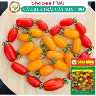 Hạt giống Cà Chua Trái Cây 3 Màu (0,15g~35 hạt) Trái To,Giàu Dinh Dưỡng, Trồng Quanh Năm - Hạt giống CANH NÔNG