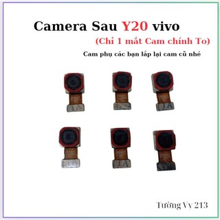 Camera sau vivo y20 ,