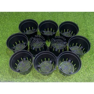 Combo 10 chậu trồng lan nhựa dẻo PP bền đẹp size 21cm ít lỗ