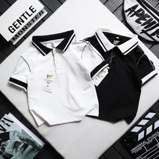 Combo 2 áo thun Polo cho bé cổ V chuẩn form dáng Hàn Quốc siêu đẹp cho bé trai