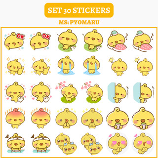 🔥SET 30 HÌNH DÁN STICKERS - VỊT VÀNG - PYOMARU🔥