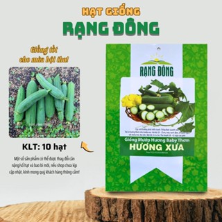 Hạt giống Mướp Hương Baby (10 hạt) cây phát triển mạnh, trồng quanh năm, dễ chăm sóc - Hạt giống Rạng Đông