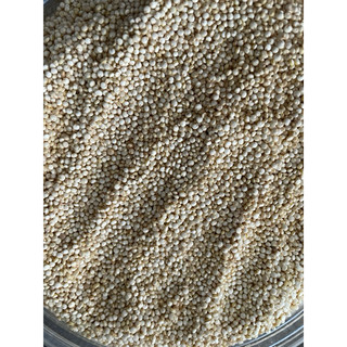 diêm mạch quinoa - hạt diêm mạch
