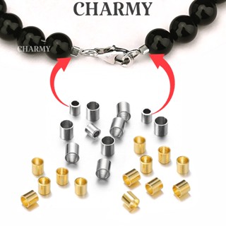 Set 2 Hạt định vị trụ bóp khóa vòng đầu dây T002, Thép không gỉ - Charmy