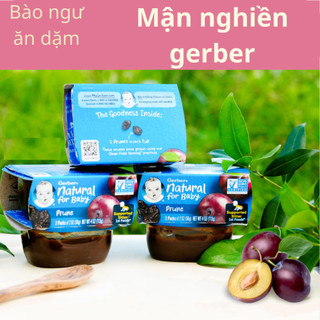 Hoa quả nghiền Gerber / Mận nghiền gerber Nga cho bé từ 4/6m+