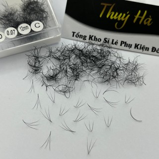 Mi fan sẵn 3d_độ dày 0.07 - 0.10 cong c-cc-d dài 8-16mm _siêu đẹp,xòe đều_mi thúy hà