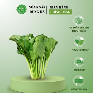 Cải Ngọt tươi ngon - Dùng nấu canh, xào, muối chua... / Ship hỏa tốc