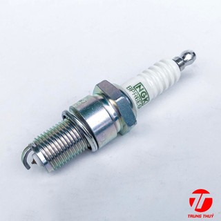Bugi NGK G-Power - PLATINUM bạch kim