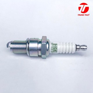 Bugi NGK G-Power - PLATINUM bạch kim