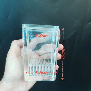 [HÀNG ĐỨC] Hộp nhuộm lam kính nằm ngang, đứng