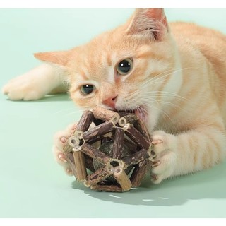 Banh Gỗ Catnip Nhai Gặm Giúp Sạch Răng cho Mèo