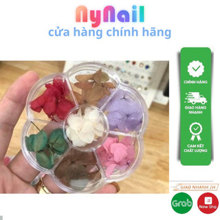 Hoa Khô tường vy ẩn cánh siêu mỏng hotrend 2021