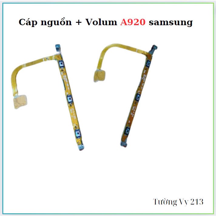 Cáp Nguon + Volum samsung A920
