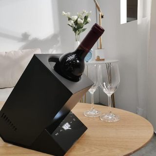 Tủ rượu CASO WineCase One