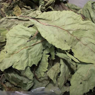 Lá Cây Mật Gấu - Cây Lá Đắng Khô (1kg)
