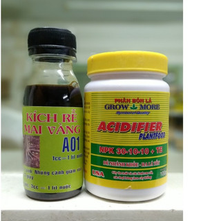 Combo kích rễ - kích chồi cực mạnh dùng cho Cây mai, hoa hồng