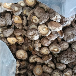 250gr NẤM ĐÔNG CÔ KHÔ UY TÍN CHẤT LƯỢNG - Y HÌNH SHOP CHỤP