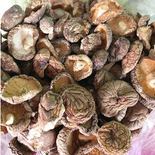 500gr NẤM ĐÔNG CÔ KHÔ UY TÍN CHẤT LƯỢNG - Y HÌNH SHOP CHỤP