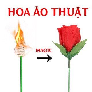 Đồ Chơi Đóa Hoa Hồng Ảo Thuật Hóa Ngọn Lửa Vuốt Cực Mượt Không Lộ Lõi Bấc