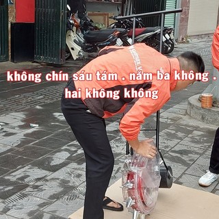 Máy gieo hạt mầm, hạt ngô, hạt đậu