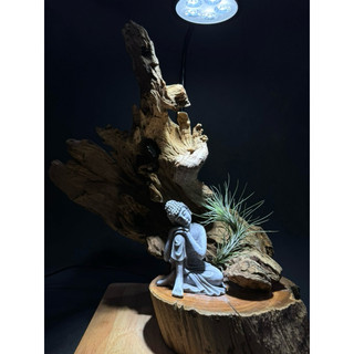 Tượng phật an nhiên, tượng phật nhỏ, tượng phật set terrarium