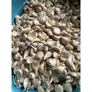 Tỏi tép bìa lớn Lý Sơn 500g