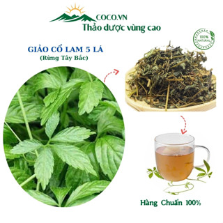 Giảo cổ lam 5 lá Sapa chuẩn hàng loại 1 giúp ổn định huyết áp và mỡ máu