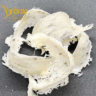 Tổ yến việt giá rẻ Tặng kèm táo đỏ + Đường phèn + nhíp chuyên dụng
