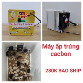 Máy ấp trứng Tuấn Trình