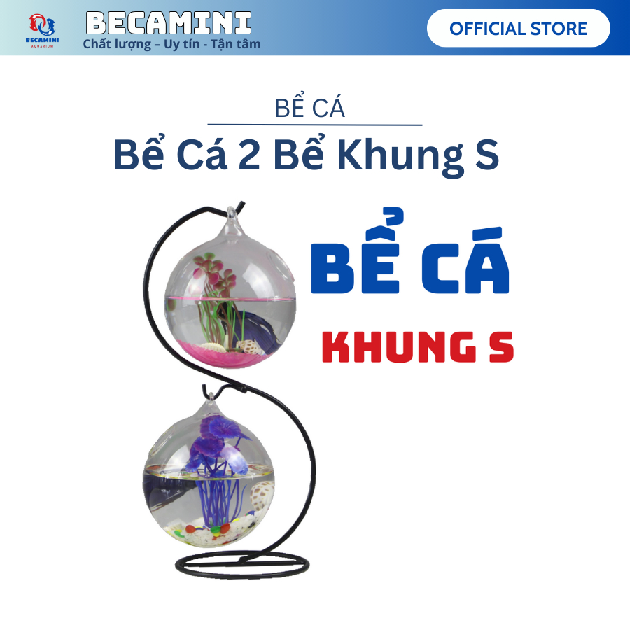 Bể cá mini để bàn treo mini chữ S