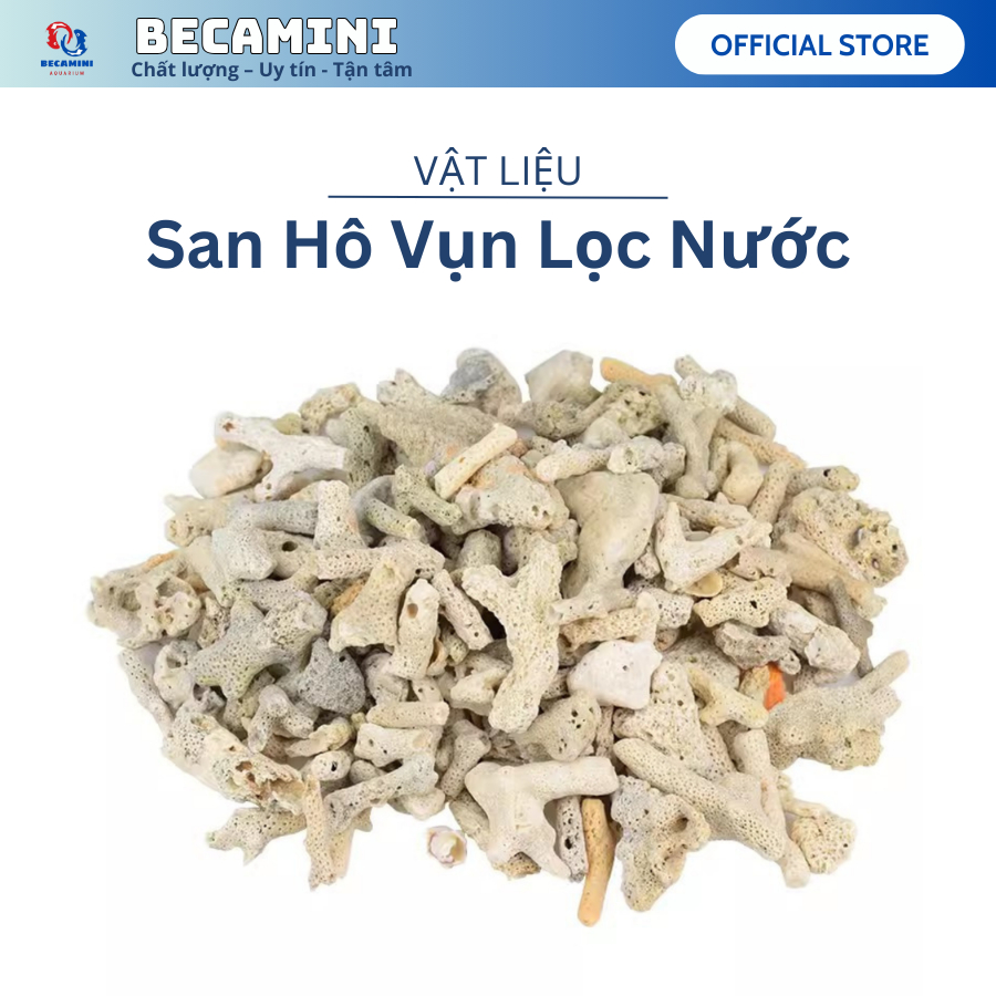 San hô vụn cho hồ cá cảnh