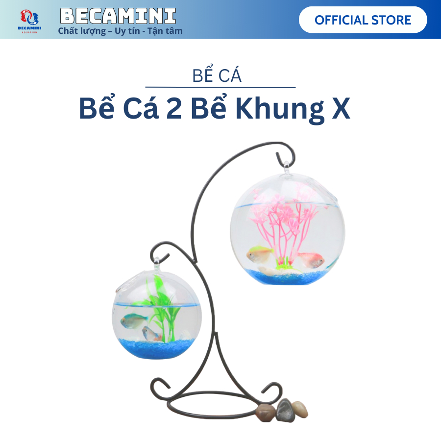 Bể cá mini để bàn treo mini chữ X