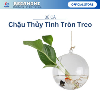 Bình thủy tinh treo trồng cây (12cm-14cm-16cm)