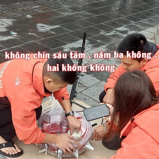 Máy gieo hạt ,tra hạt thủ công đa năng loại 12 răng
