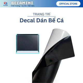Decal dán bể cá