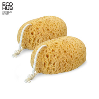 Miếng Bọt Biển Tắm ECOHUB Tạo Bọt, Bông Mút Tắm Tẩy Da Chết Làm Sạch Trắng Da Kích Thước Lớn 16x11cm