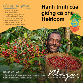 Cà Phê Blagu Hạt Rang Ethiopia N. Konga - Light-Medium Roast - 250g