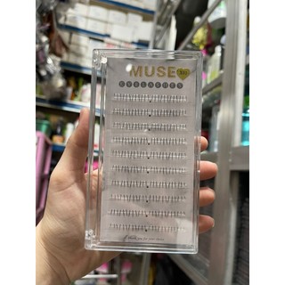 Mi CỤM MI RỜI MUSE FULL SỐ