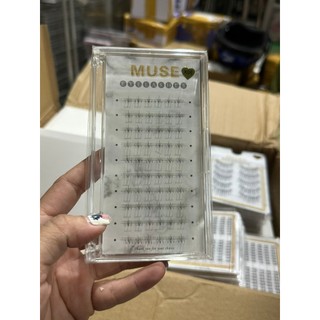 Mi CỤM MI RỜI MUSE FULL SỐ