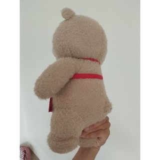 Gấu bông teddy 2 size 30-35cm