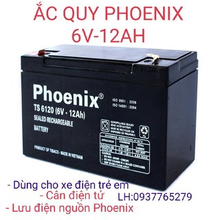 Ắc quy xe điện trẻ em phoenix ts6130 ts650 chính hãng